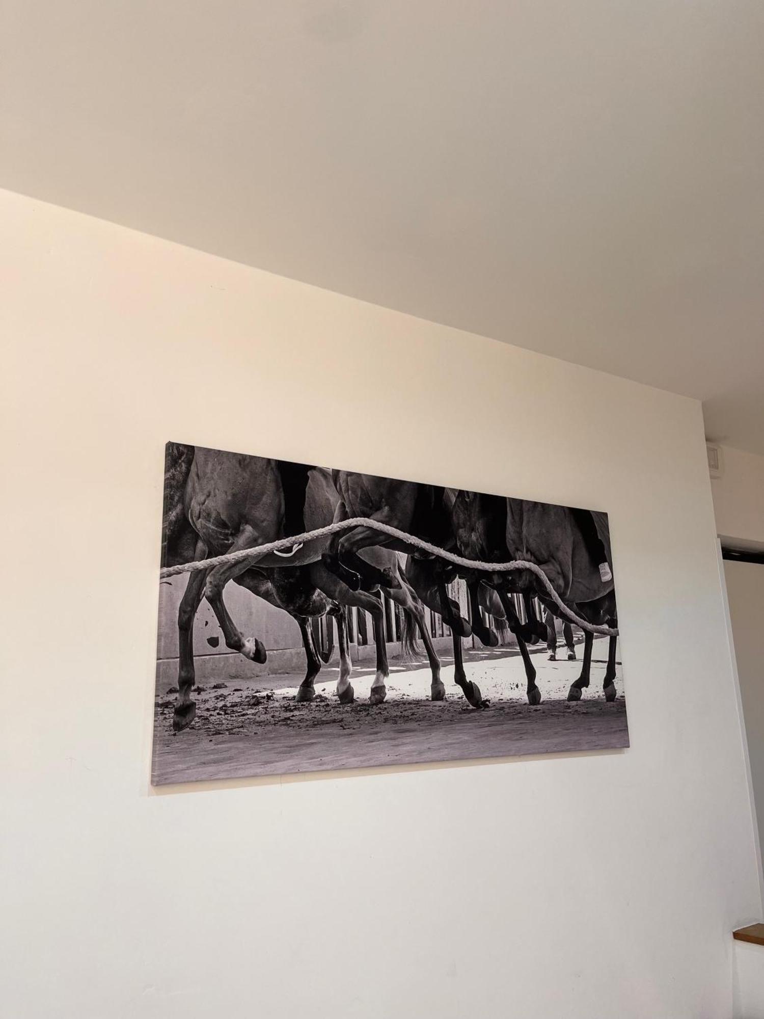 Ferienwohnung La Casa Del Palio Siena Exterior foto